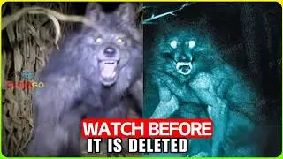 Police Report in Ohio CONFIRMED: A &ldquo;Dogman&rdquo; in Defiance Attacked Twice&hellip; Caught on Camera at 2 A.M