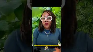 Сенатор Тед Круз выступает за P3D0!!