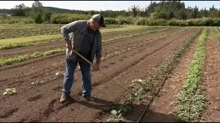 Vital People: Farmlands Trust