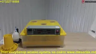 Видео обзор Автоматический инкубатор MS 48