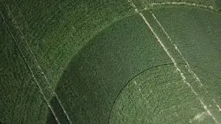 Wootton Rivers Crop Circle Wiltshire