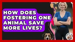How Does Fostering One Animal Save More Lives? - Animal Care Jobs