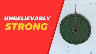 Never Worry About Falling Shelves Again! The Ultimate Guide to Wall Anchors