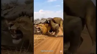 indeed grace is differ🤣for educational purpose,no one was hurt while creating this video #viralshots