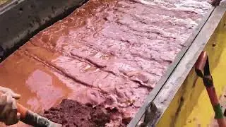 Gold processing with jig 