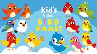 Bird Spelling Song &ndash; Learn Bird Names with Fun Rhymes