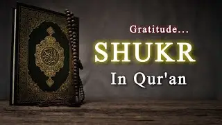 Shukr In The Quran | Gratitude In The Words Of Allah | #quranicverses #lightofislaam