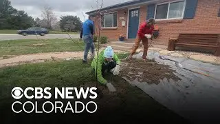 200 trees to be planted in cities impacted by low air quality