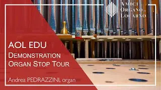 Demonstration of the Colzani Organ in Brione s. M. (OLD 2017 VERSION) - Andrea Pedrazzini | AOL EDU