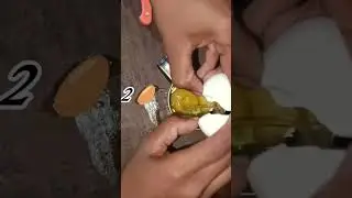 30gm protein 🥚🍳🧀||50rupees#shorts #shortvideo #ashortaday #gymlife #gymdogs