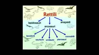 Era mesozoica: Origini e successo dei dinosauri