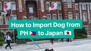 How to Import Dog from Philippines 🇵🇭 to Japan 🇯🇵.