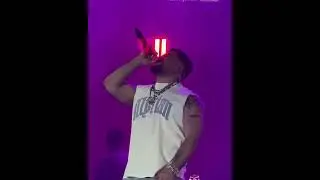 noizy kallabllak alpha show sarande
