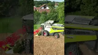 Claas Lexion 6900 in Action  #harvesting #claaslexion