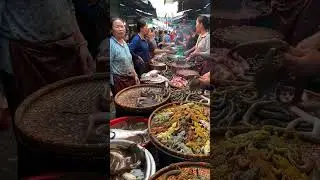 Inside the Asian Market: Cobras, Scorpions & Poisonous Frogs for Sale!@darmawanfood-ai