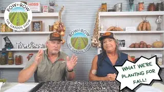 What You Should Be Doing Now | August Gardening
