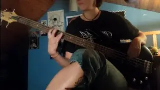 the velvet underground & nico - sunday morning [BASS COVER]