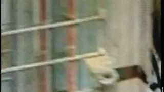 Noah's Ark (creationist nutter) Zoo Farm caught lying
