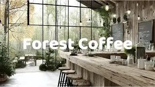 Forest Coffee ☕️ 🌿 [acoustic lo-fi mix]  Relaxing / Chillout / Study / Work / Focus