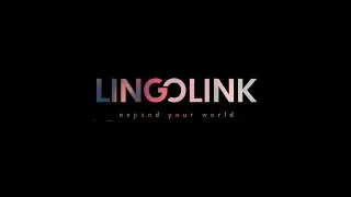 LingoLink Promo Video 2021