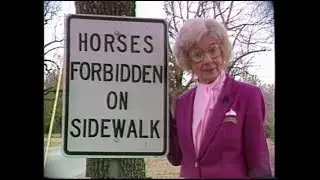 Historic Camden: A Stroll Through History (1988)  | Mary Long's Yesteryear
