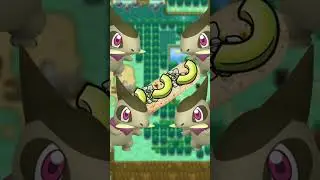 References To The BEST Pokemon Games?!