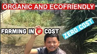 Organic and Eco-Friendly Farming Methods #iorganic