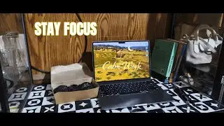 Focus Music for Work and Study | Calm Background Sound