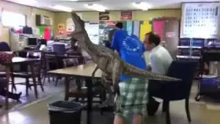 Tristan chambers gets malled by raptor