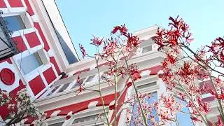 Hotel Palacio Astoreca