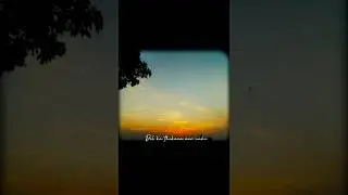 Last seen is most beautiful__kishor kumar__old lyrics__#love __#lyrics __#nature 🍁🌼🌿...