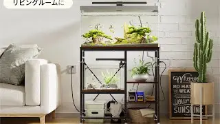 ✨超強靭！215kg まで耐える水槽台が登場！✨