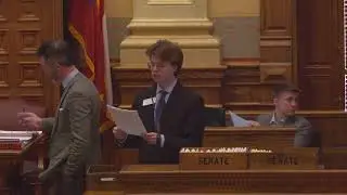Georgia Senate 2026 - Day 7 PM Session