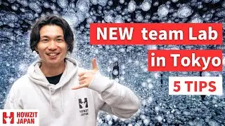 5 Tips to Enjoy the New team Lab Borderless in Tokyo 2024