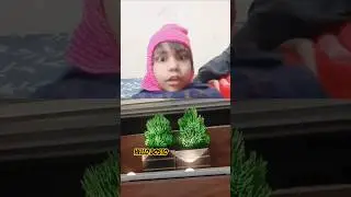 hello dosto ye ghaas h #youtubeshorts #shortsfeed