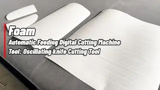 Single-layer foam cutting machine with oscillating knife cutting machine