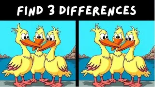 Test Your Observation Skills With 3 Differences To Find In 90 Seconds (Hard)