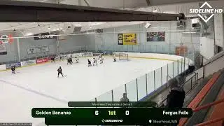 Golden Bananas @ Fergus Falls (2026.01.16)