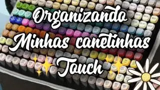 Organizando minhas canetinhas Touch com papel&atilde;o #v&iacute;deoviral #art #bonitodesigns #dicas #desenho