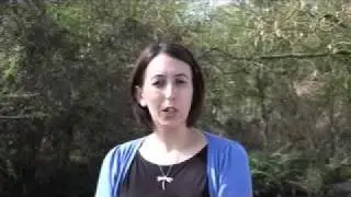 Learning Outside The Classroom - About the book