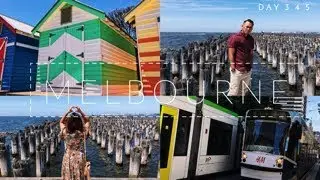 LANEWAYS, BRIGHTON BATHING BOXES & THE ZOO / MELBOURNE 2017 DAY 4, 5 & 6