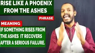 RISE LIKE A PHOENIX FROM THE ASHES