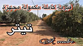 فيرمة للبيع نواحي مراكش محفظة 0611323436