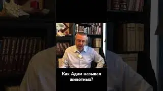 Как Адам называл животных?