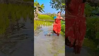 Ibar Ami Sadhubaba Hobo #trending #shorts #dance
