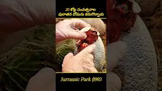 🎬An Extinct Animal Revived Through Mosquito | Explained In Telugu #movie #recap #movierecap