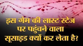 क्या है ये Blue Whale Game, जो अब तक सैकड़ों बच्चों की जान ले चुका है | The Lallantop