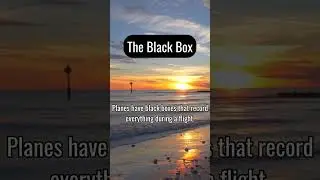The Truth About the Black Box: It&rsquo;s Not Black!