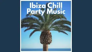 Holiday Vibes