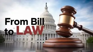 The Path a Bill Takes to Become Law in the U.S.